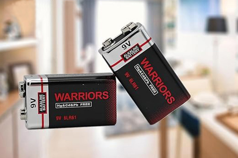 碱性电池：日常设备的可靠电源