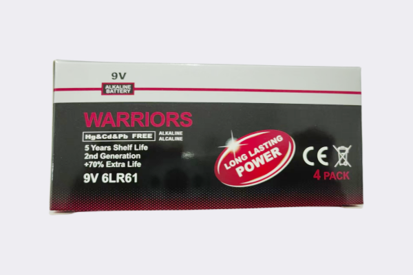 9V碱性电池 4只盒装